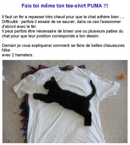 dernier puma